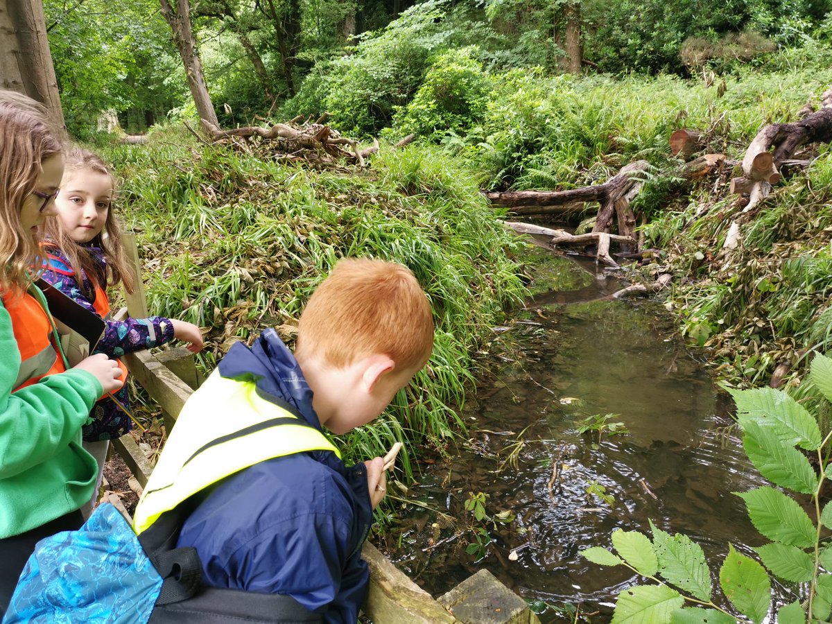 KirkmichaelPS's tweet photo. We had a super trip today @CulzeanOfficial 🏰 @KpsMissy group explored the viaduct, orangery and walled gardens whilst doing their scavenger hunt 🐞 #exploring #nationaltrust #nts https://t.co/UJmU9yupDv