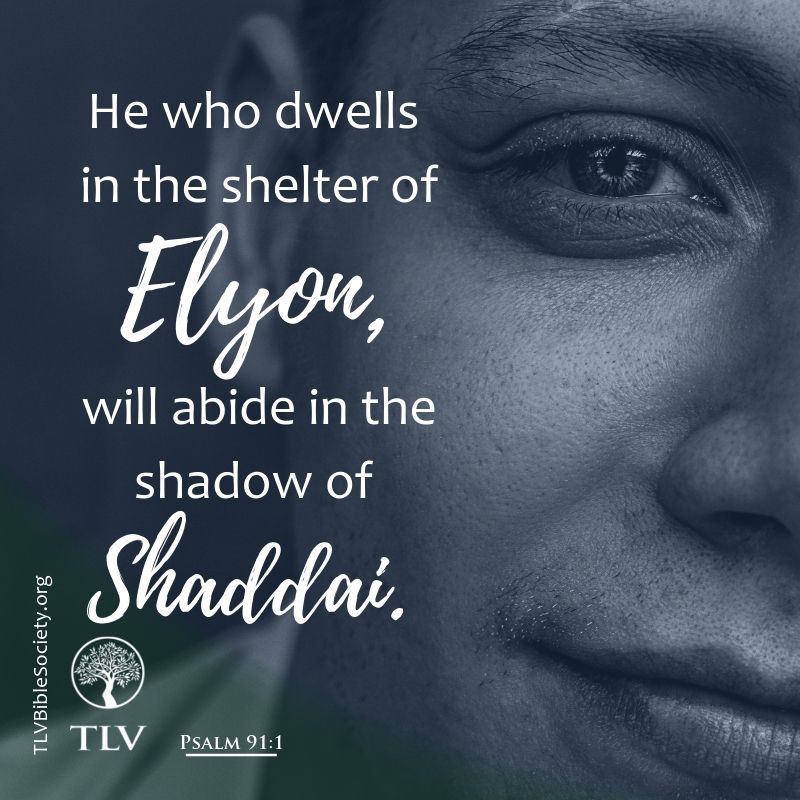 He who dwells in the shelter of Elyon,
will abide in the shadow of Shaddai.
Psalm 91:1 TLV

#TLVBible #TLVverseoftheday #bible
#Elyon #abideinHim #Shaddai #psalm