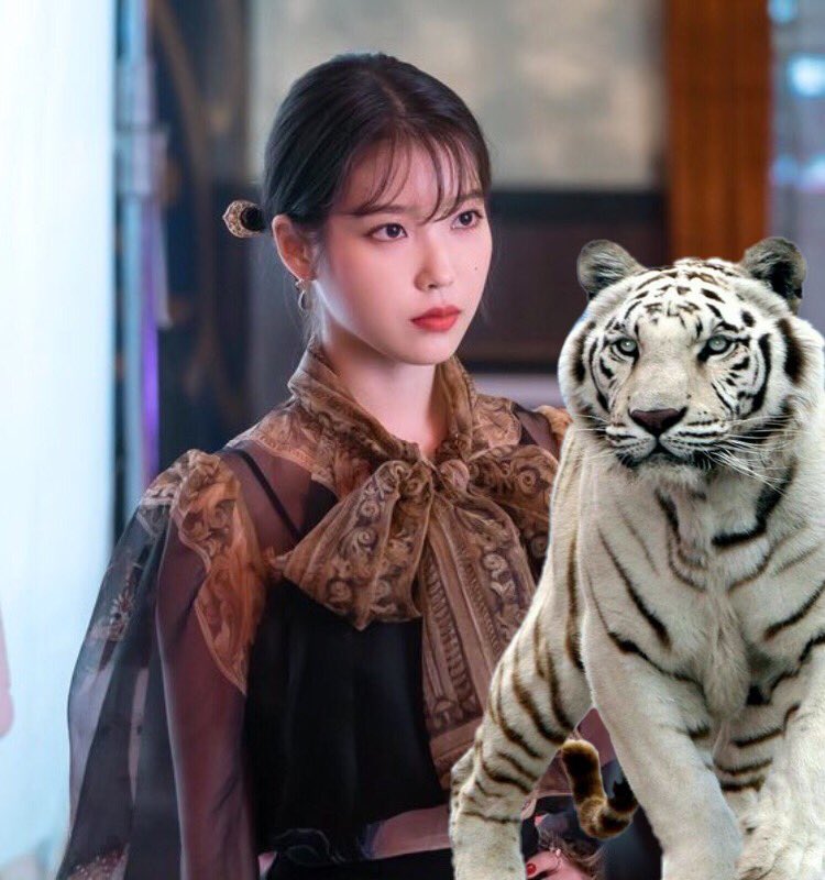 ravit_iu's tweet photo. 대한민국의 왕은 누구인가?
장만월
#MySultan https://t.co/Sq1urjPway