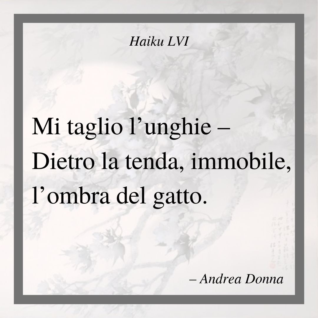 AndreaDonna's tweet photo. #Haiku LVI
.
#HaikuinItaliano #gatto #cat #mieow #letteratura #leggere #unghie #nails #kigo #haijin #PoetUnity #poesia #poetry https://t.co/IYwoHDN9dk