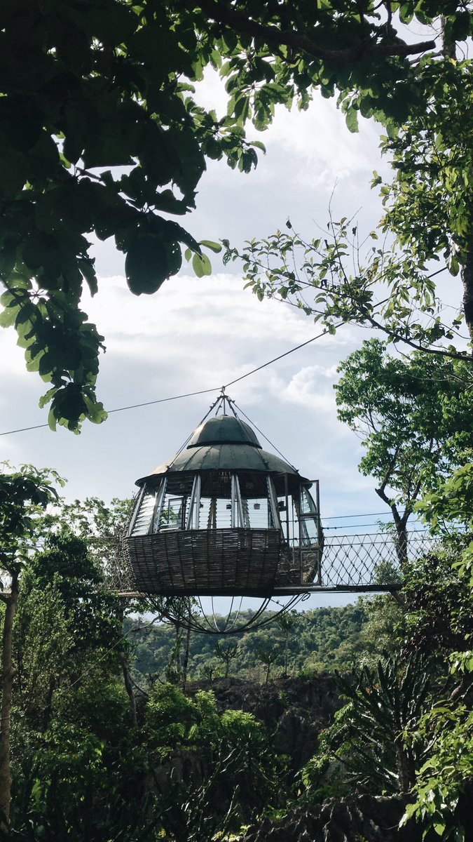ninamits's tweet photo. Masungi viewz 🍃 https://t.co/pAgApO5SGR