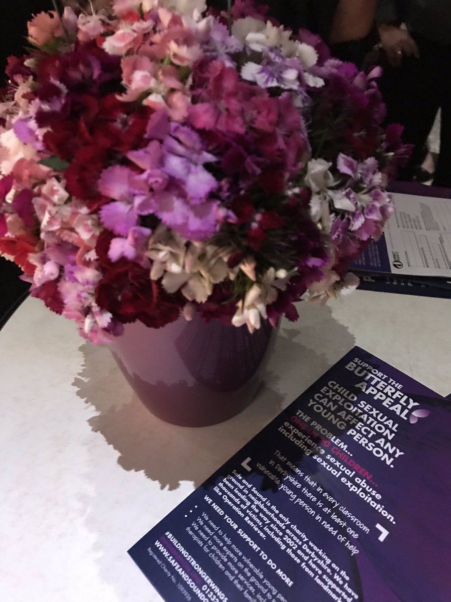 What an inspiring launch of the new Butterfly Appeal for <a href="/safesoundgroup/">Safe & Sound</a> #buildingstrongerwings