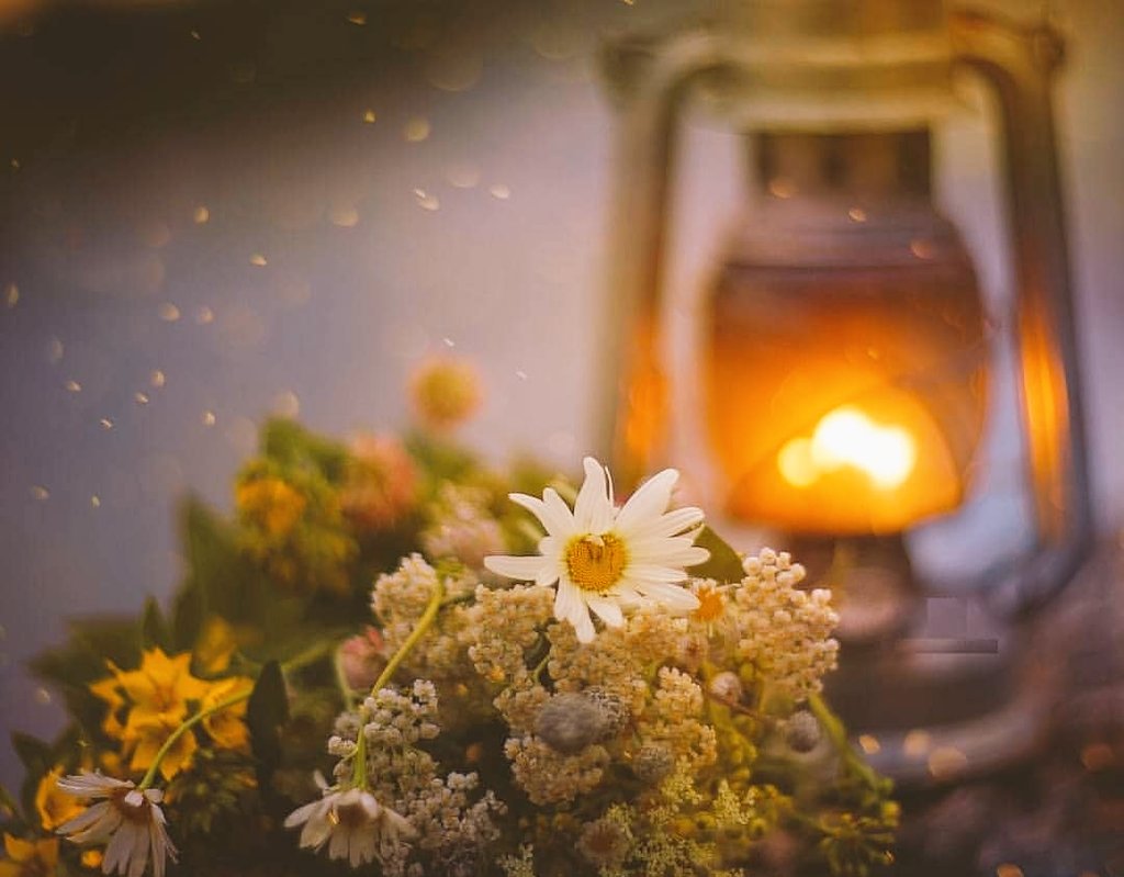 �������� ������������� ����� �������� �������� ���