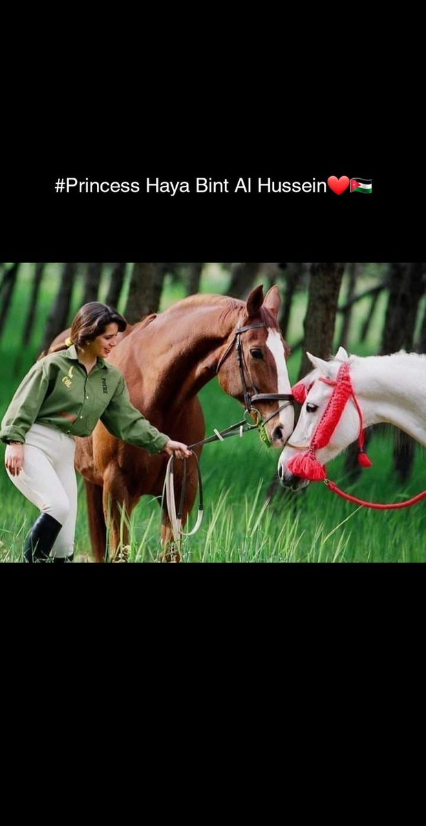 GhassanHantoush's tweet photo. #Princess_Haya bint Al Hussein
#هيا_بنت_الحسين
@hrhprincesshaya
❤🇯🇴 https://t.co/LA0DSGG7OH