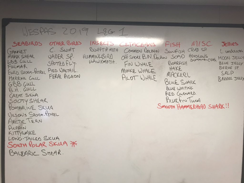 Our trip list is looking impressive after 11 days at sea #RVCelticExplorer #WESPAS 2019