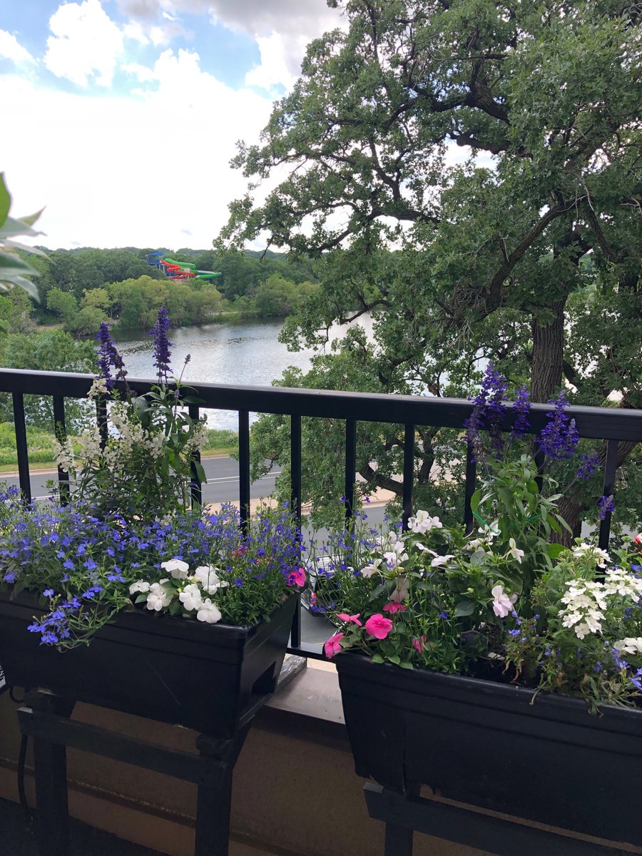 AlzJoyThruTears's tweet photo. My love and I, too, wake up to exquisite beauty, ⁦@journeyofcareM⁩! #AlzChat https://t.co/wueyqYl22d
