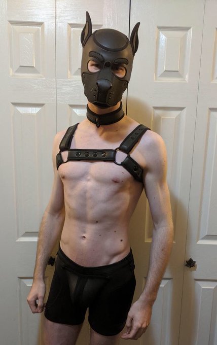 Got some new neo gear: shorts and vest! I love the way it hugs my body... got me feeling all sexy, this<a href="/tag/humanpup"class="tags"><span>#humanpup</span></a>