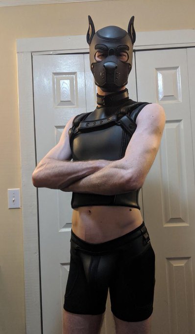 Got some new neo gear: shorts and vest! I love the way it hugs my body... got me feeling all sexy, this<a href="/tag/humanpup"class="tags"><span>#humanpup</span></a>