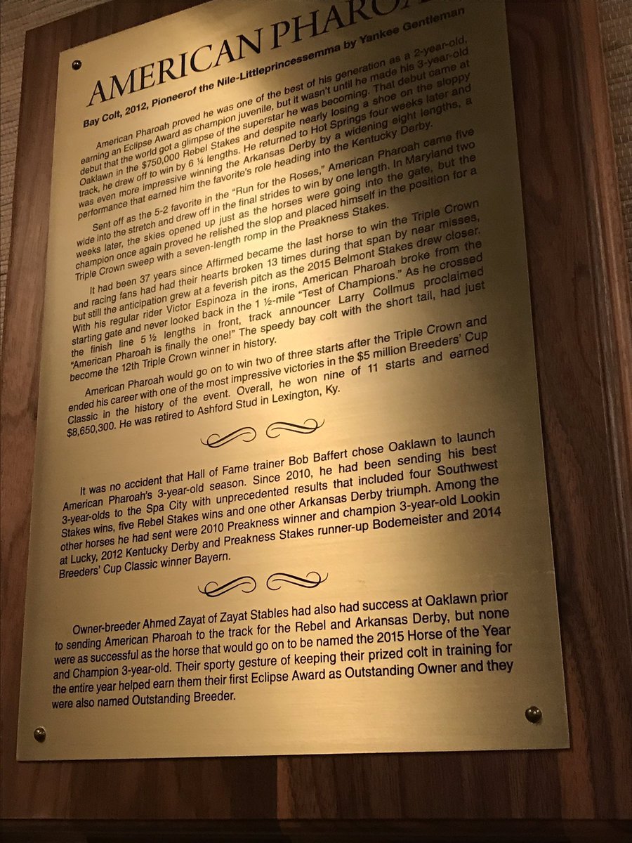 ProgeniesOfAP's tweet photo. #AmericanPharoah https://t.co/yPb3nI5xjv