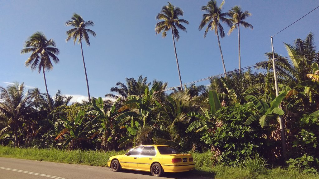 jasminnantang's tweet image. d perbaiki dari masa ke semasa hingga buang masa dan uwang..d buang syg d simpan menyakiti.  #inikanbaranglama #kuningdiraja