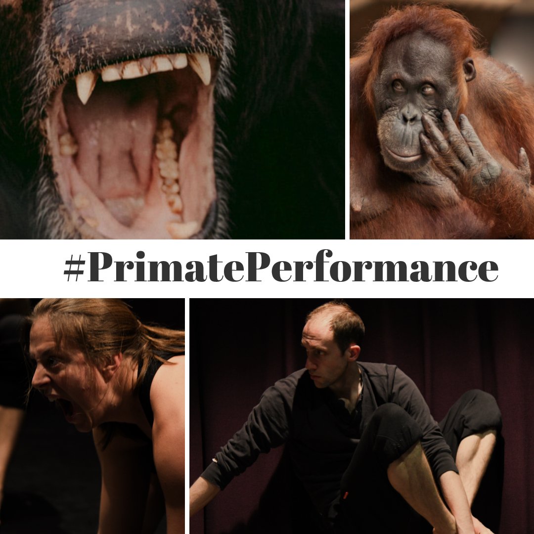 shapesinmotion's tweet photo. Fabulous #MoCapTroupe performers @VickyGaskin1 & @GethinAlderman in Primate Performance mode! #primateperformance #mocap #creatureperformers
Want to play ...? https://t.co/bXh3eQexwU