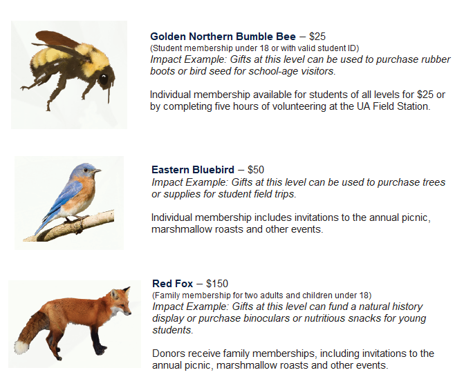 UAkron Foundation tweet media