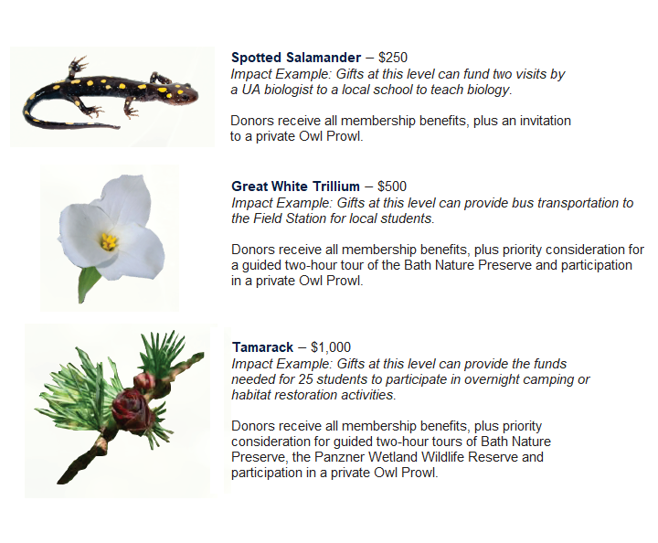 UAkron Foundation tweet media