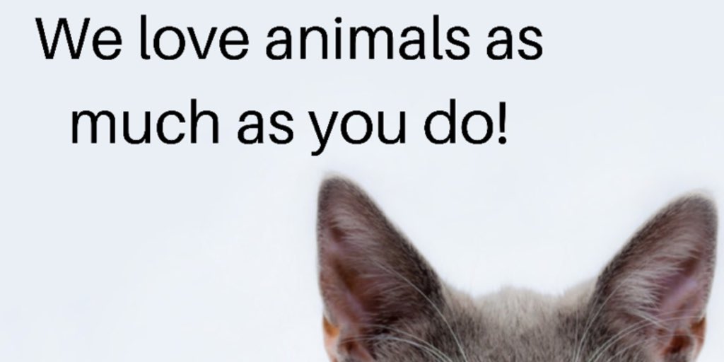Looking for a home that allows pets? You are in luck! Browse through all available listings on our easy to navigate website to find the fur-friendly house or apartment you’ve been dreaming of! midwestpm.com
