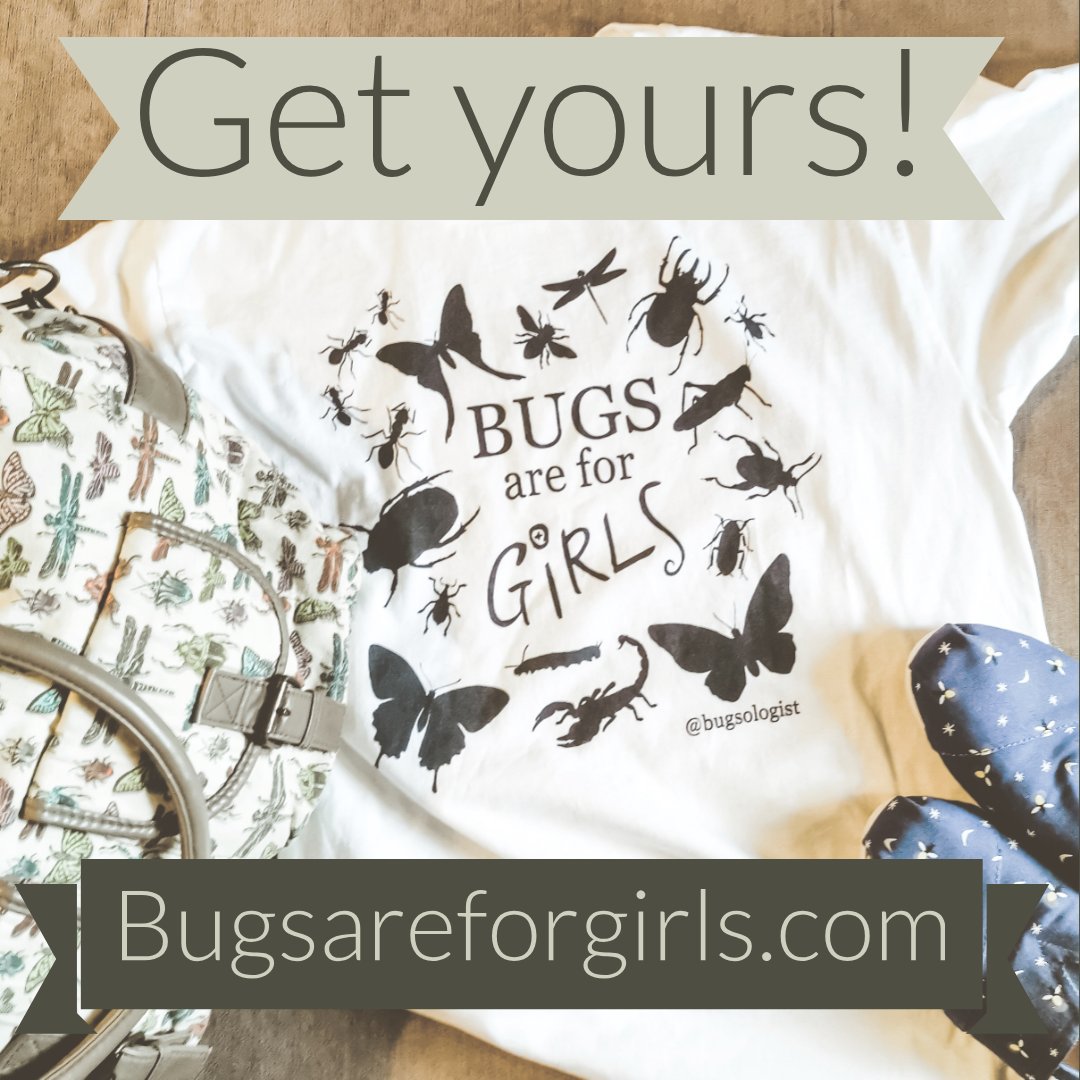 Lauren Davidson tweet media