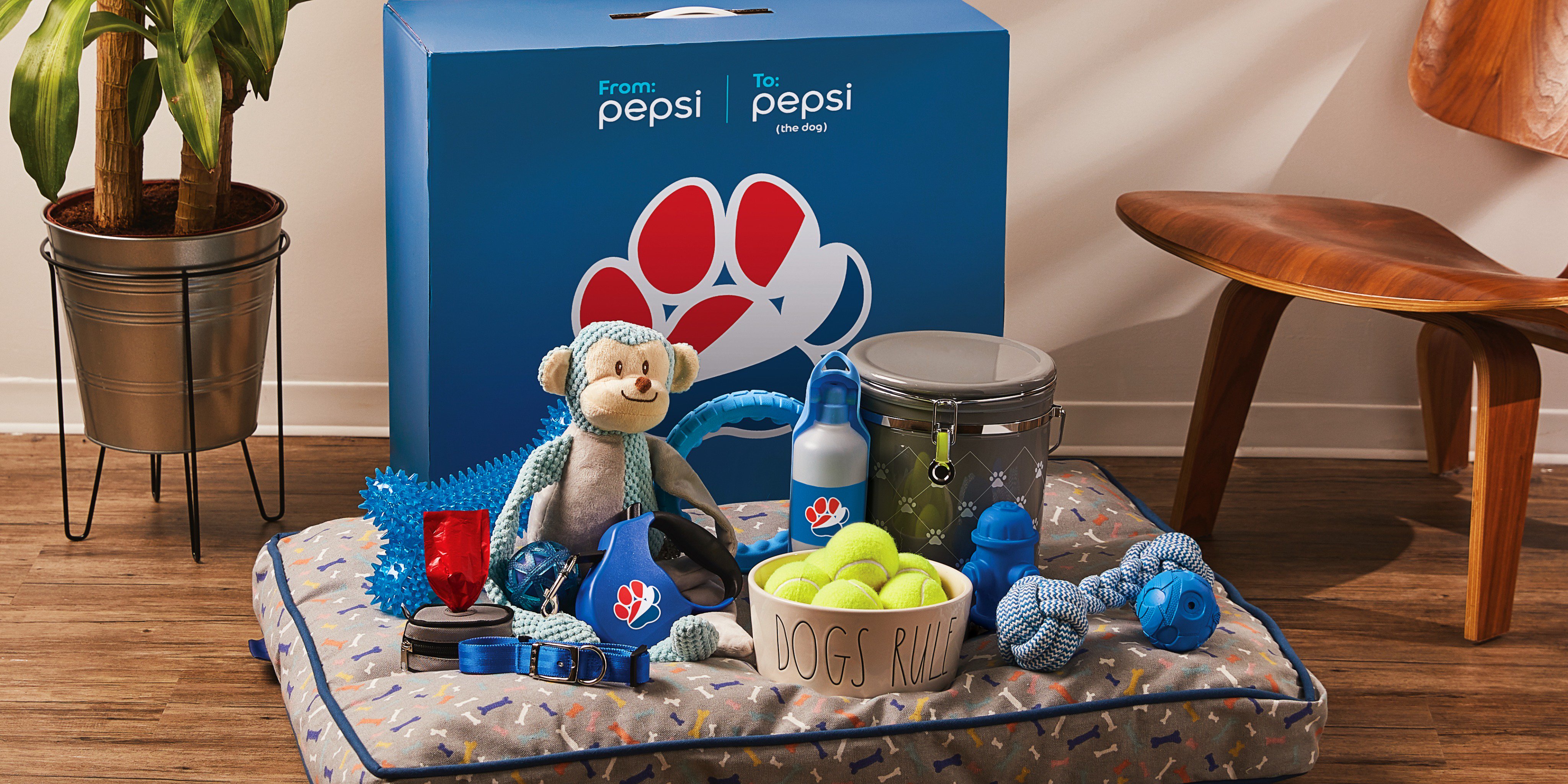 Pepsi on Twitter "To make sure Pepsi (the dog) has a speedy and