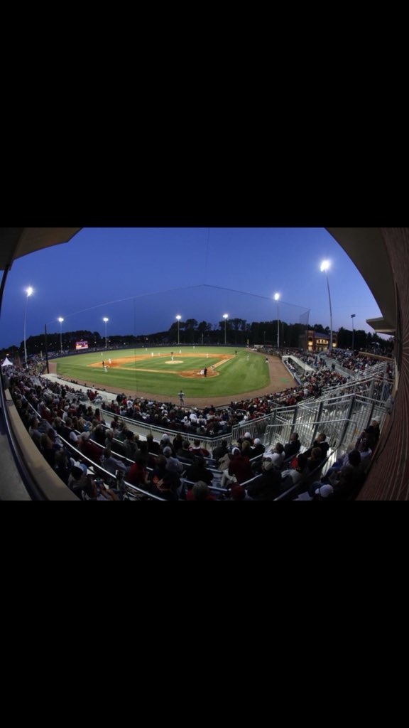 SStonskas's tweet photo. I’m excited to announce that I will be continuing my academic and baseball career at Francis Marion University! #ArrowsUp 🏹 https://t.co/2RNQbuqRNk