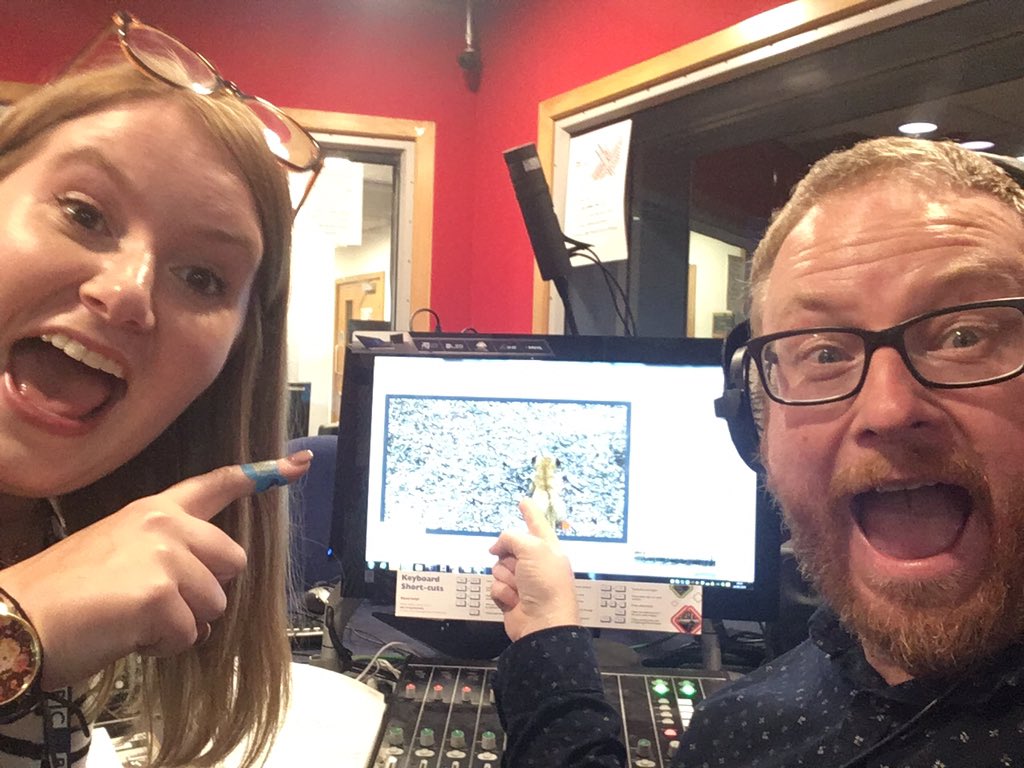 DomKingLive's tweet photo. We’re loving #cubcam here @BBCRadioKent #TDKS #PortLympne https://t.co/H58FRaLrI3