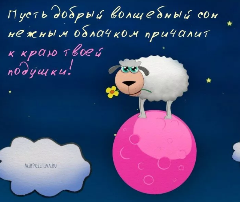 Смешные открытки на ночь девушке, открытку