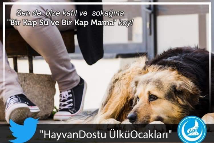 EHocaoglu2's tweet photo. https://t.co/HCNgq4FD0L