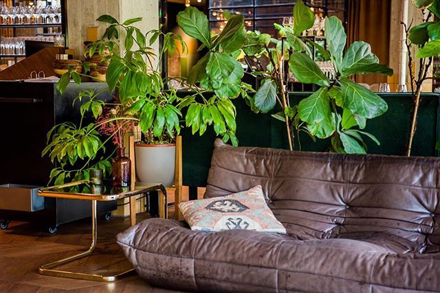 Come and grab a coffee at our @thelobbyamsterdam café at Hotel V Fizeaustraat! ☕️ bit.ly/2Xtk8jJ