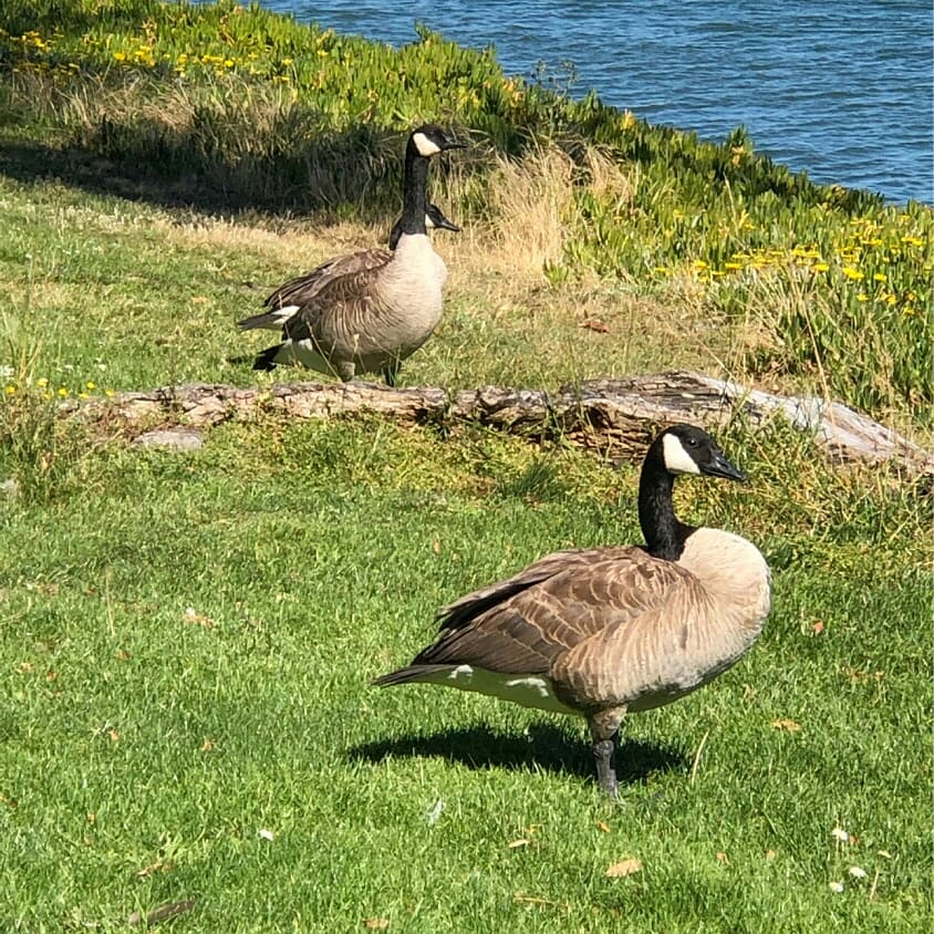 cornell_mathis's tweet photo. NATURE IS JUST BEAUTIFUL https://t.co/Ku9nYn3R4G