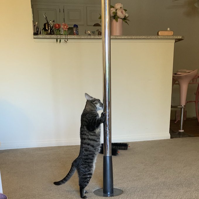 Effy ♡’s pics and videos