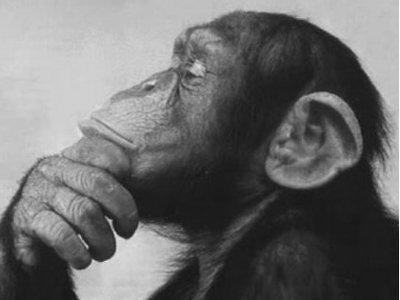 FocusedSol's tweet image. Here is a question to ponder on! Or feel free to add your response. 

Do you ever give yourself permission to think about what you really want out of life?

#UptonHour #LifeCoach #FocusedSolutions #Malvernhillshour #worcestershirehour