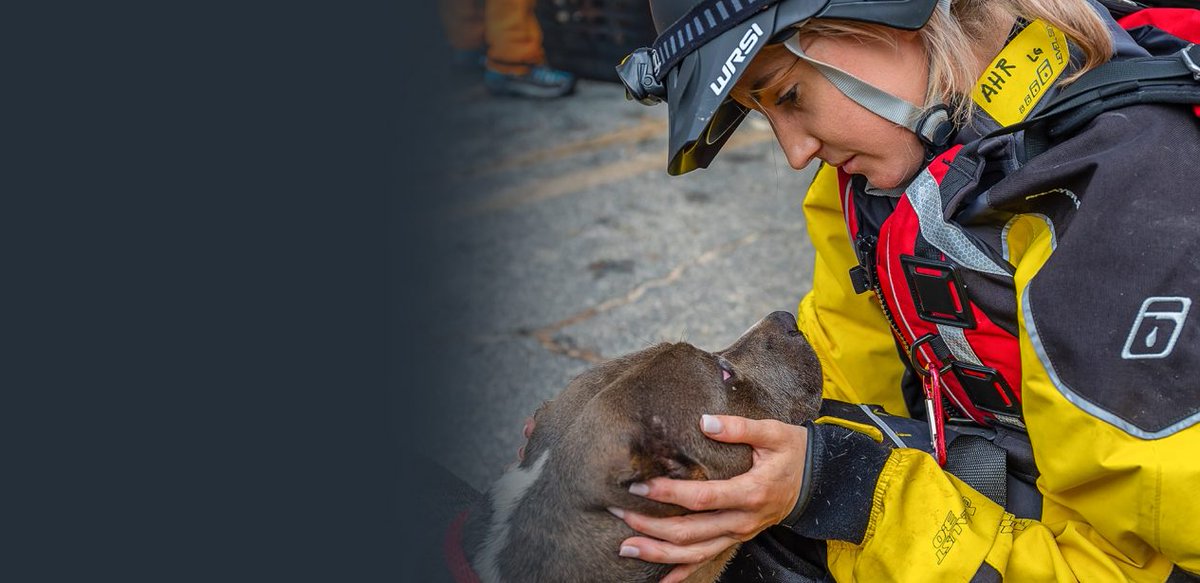 Did you know that the American Humane Association named June the official Adopt-a-Cat Month? 

Find out how you can help here: zurl.co/YVKR