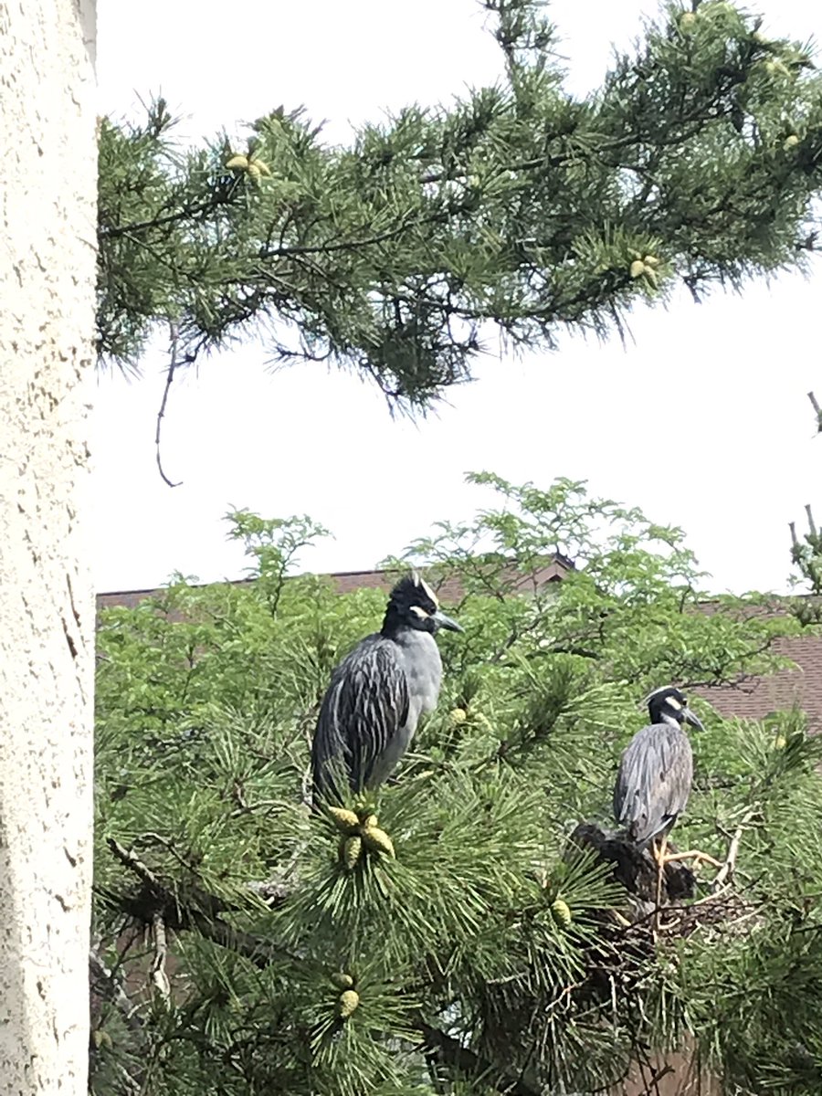 Britanie Risner tweet media