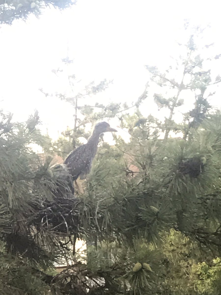 Britanie Risner tweet media