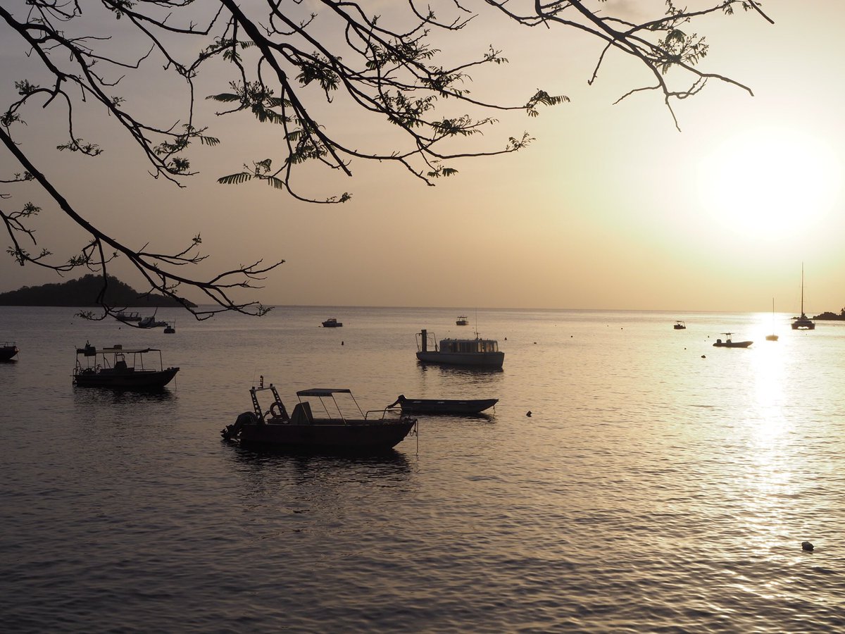 Carnetssacados's tweet photo. G U A D E L O U P E 📍#Plage de #Malendure
Direction #Bouillante pour profiter du #coucherdesoleil qui arrive avec douceur. ~~~~~~~~~~~~~~~~~~~~~~
#guadeloupe #antilles #topguadeloupephoto #gwada  #paradiseisland #soleilcouchant https://t.co/UXJrKllWAg