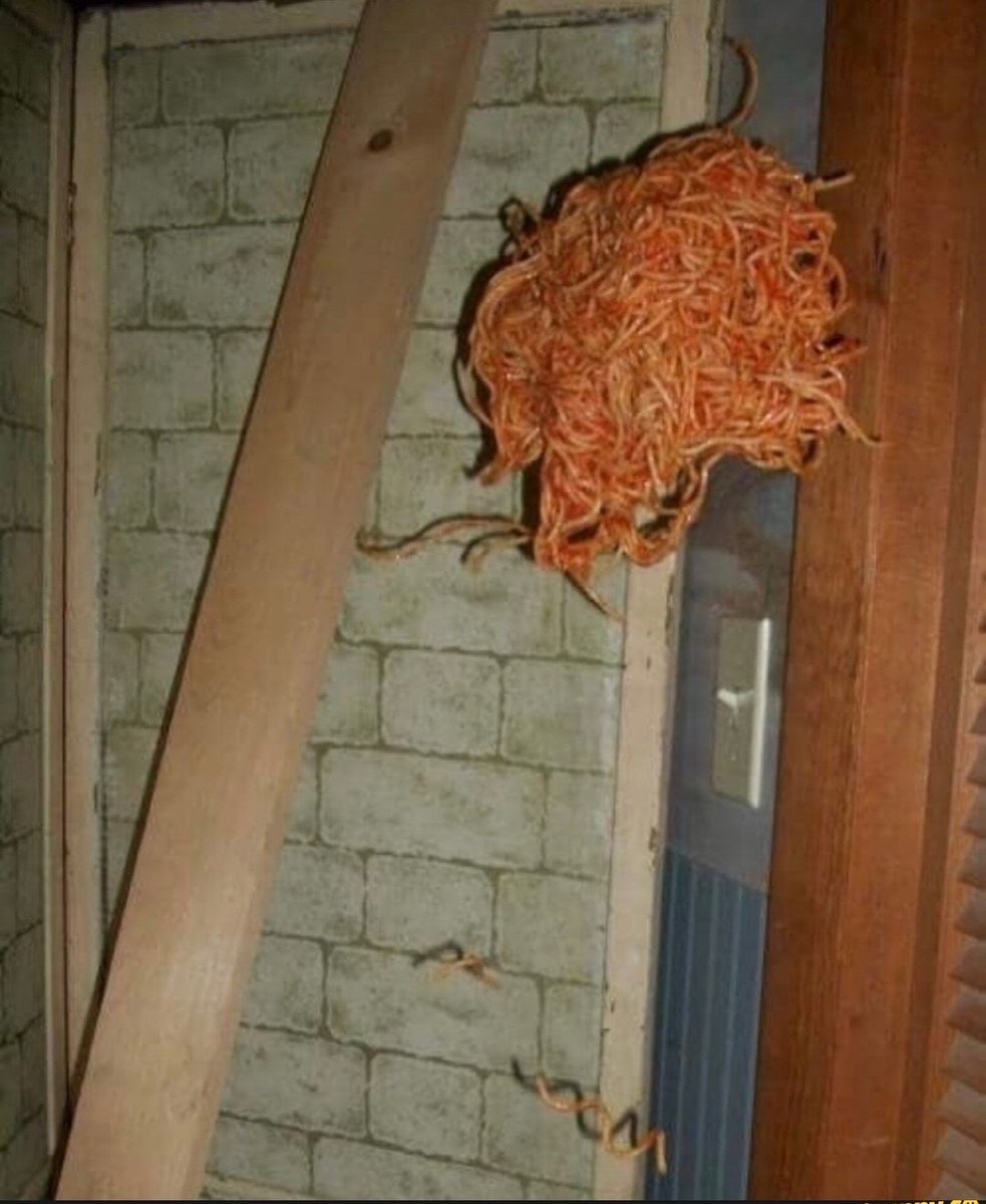 Rookie20 👑 tweet media