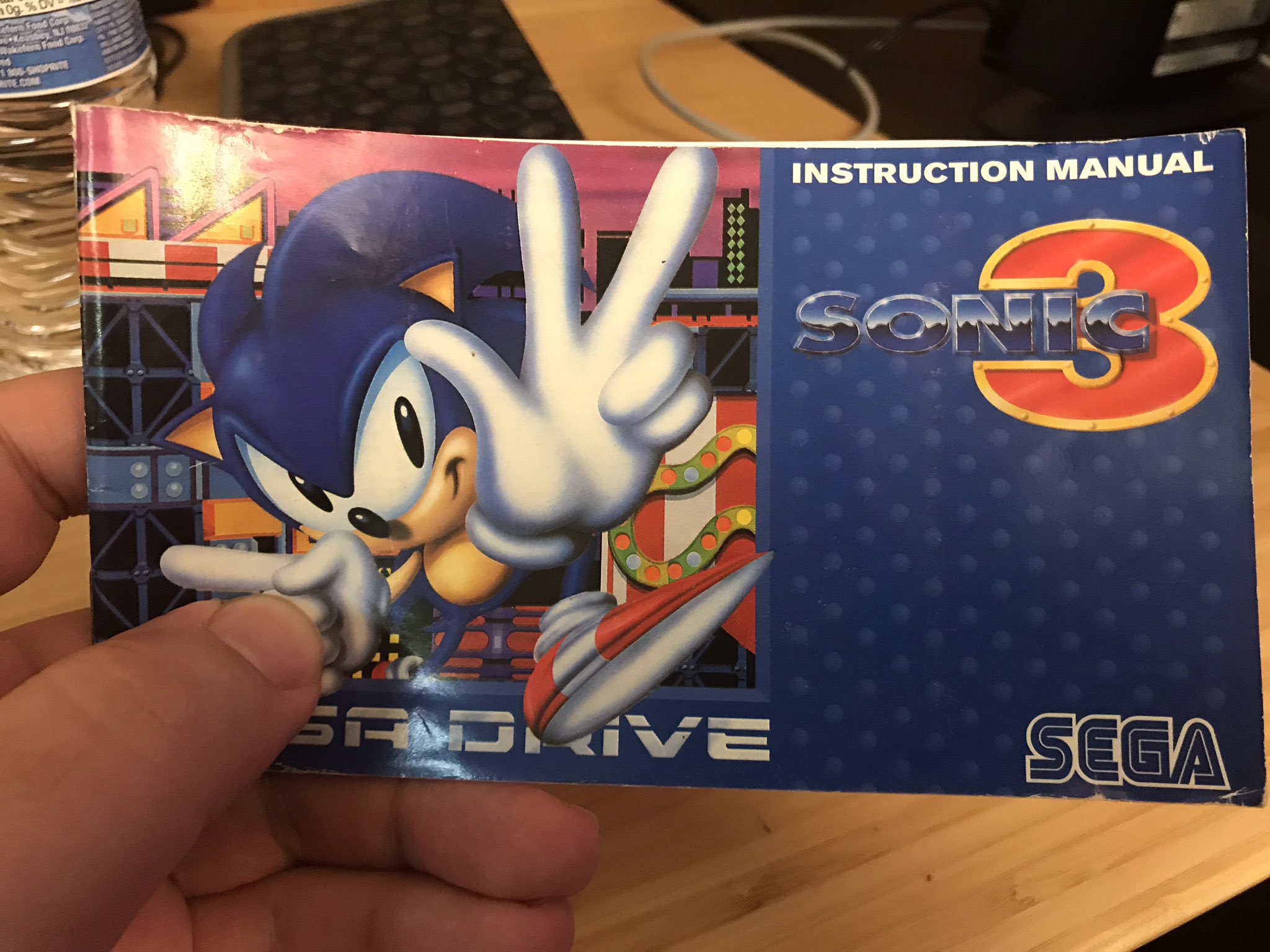 Bugs em Sonic 3