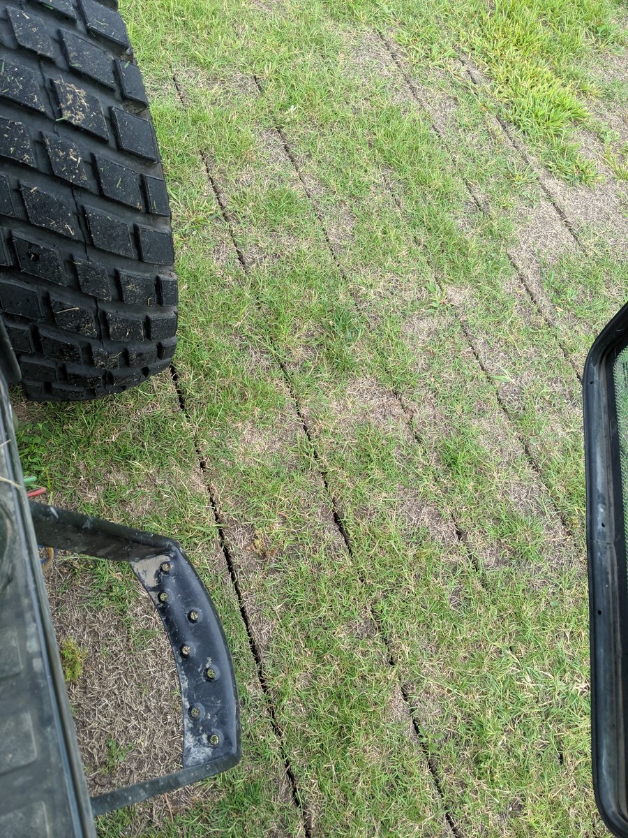 GerberGrass's tweet image. Rise and shine bermuda grass, time to get to work!  Summer Aerification🌞
#Redexim #aeration #decompacting #VertiQuake