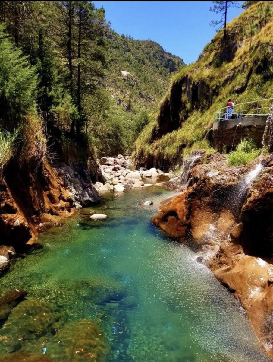 turespacio's tweet photo. Este verano báñate en las aguas termales de #Recowata. ☀️💦😱😍
📸JDaniel Ochoa
#VisitaChihuahua #VeranoEnChihuahua #Creel https://t.co/dgAWTRnmmA