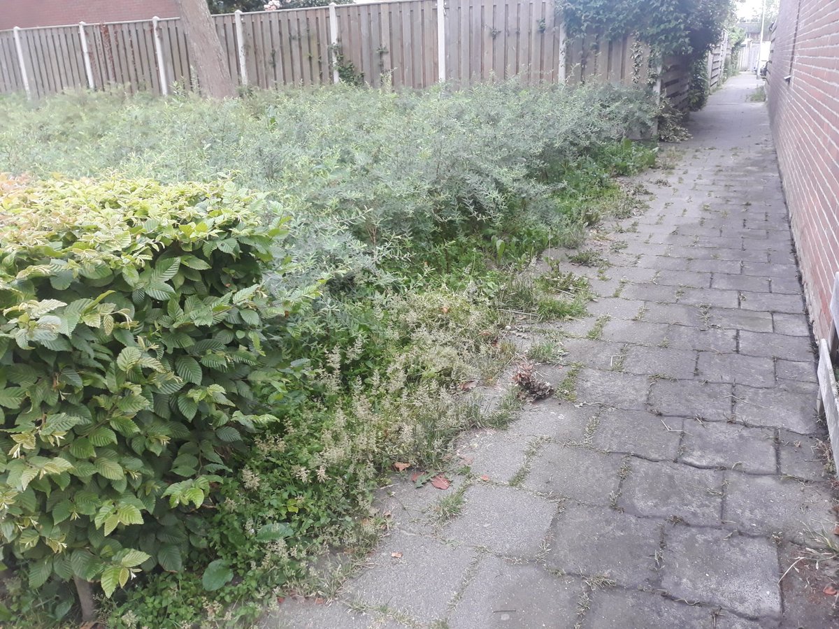 GeertJan de Bruijne tweet media