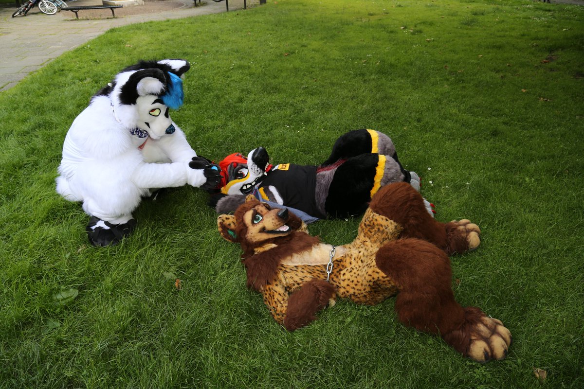 raymondfeesh's tweet photo. So, I was visiting my darling @MittFox , and we both ended up at the @MancFurs Summer Party and took tons of photos! He's the analogue to my digital! Had loads of fun, and it was wonderful to see so many suiters!

#ManchesterFurs #MancFurs #Furry #Fursuiters #Furmeet #Furtography https://t.co/eu9ZykCph1