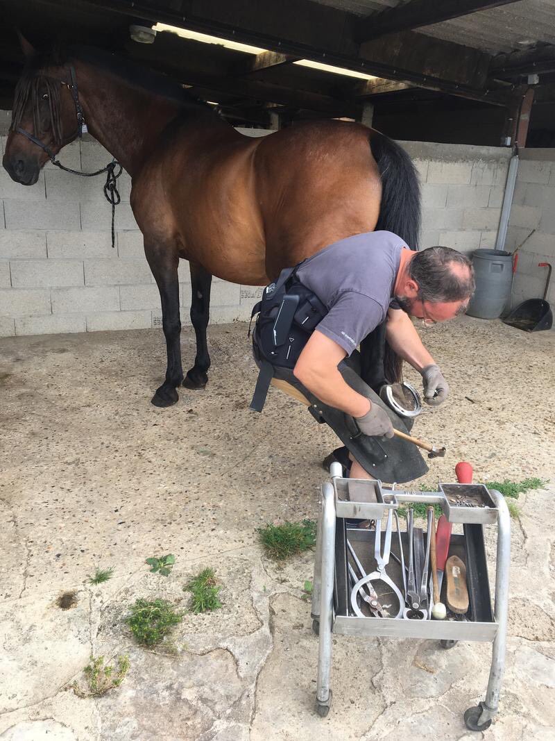 Le mal de dos touche tous les métiers, les maréchaux ferrants ne sont pas épargnés: postures contraignantes, port de charge... Nous avons équipé l’un d’eux de l’ #exosquelette <a href="/Japet_MD/">Japet MD</a> pour lutter contre la #lombalgie au travail.

Préserver votre dos est notre priorité.