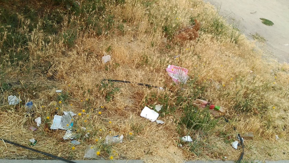 AlbertoAliagatw's tweet photo. Y he aquí lo que florece en los parques del #ensanchedevallecas...
Flora autóctona de la zona...
Debe ser cosa del nuevo plan de @MADRID en materia de parques y jardines... https://t.co/g018bQoINi
