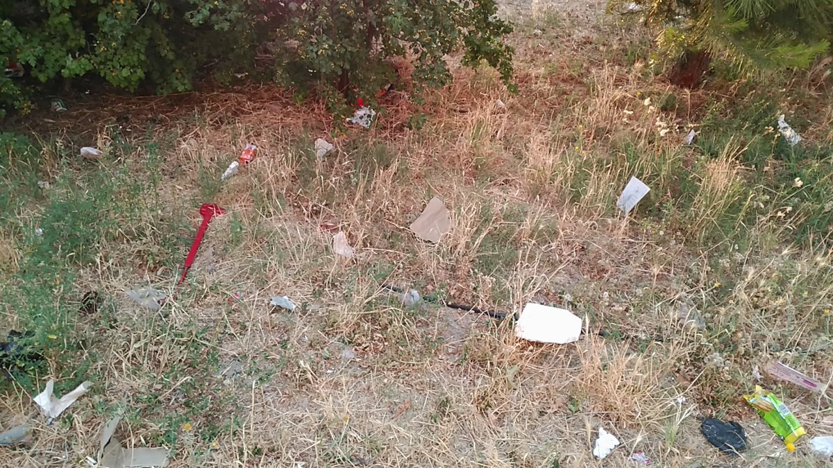 AlbertoAliagatw's tweet photo. Y he aquí lo que florece en los parques del #ensanchedevallecas...
Flora autóctona de la zona...
Debe ser cosa del nuevo plan de @MADRID en materia de parques y jardines... https://t.co/g018bQoINi