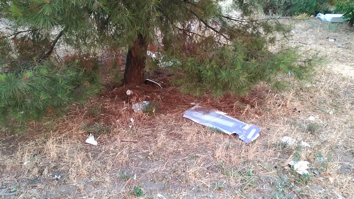 AlbertoAliagatw's tweet photo. Y he aquí lo que florece en los parques del #ensanchedevallecas...
Flora autóctona de la zona...
Debe ser cosa del nuevo plan de @MADRID en materia de parques y jardines... https://t.co/g018bQoINi