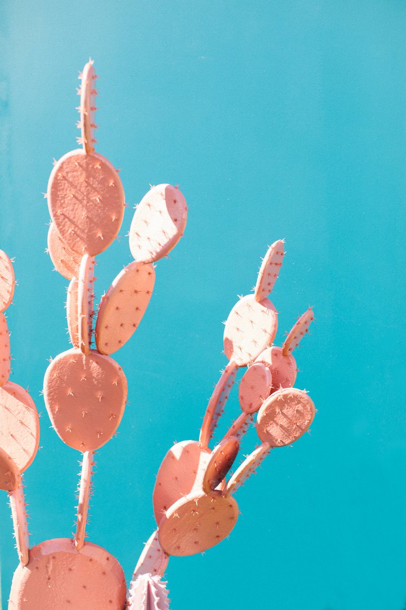 How do we repost and share Instagram photos without getting into legal trouble?
That’s what we’ll be digging into today. >> bit.ly/2QJbRSL #instagramtips #socialmediamarketing #socialmediamanagement