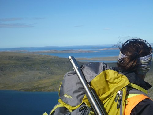 The Official PDAC tweet media