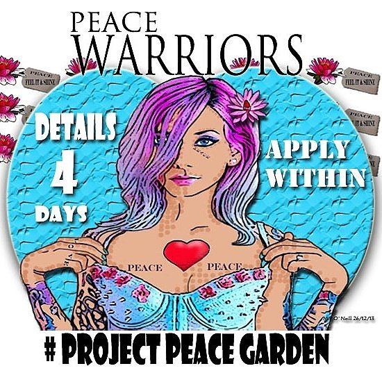 markoneill04's tweet photo. @GunmakersBrum @1000TradesJQ @TwoTowersAle @kevmaslin @JoGrayer @digitalguru1964 @RachelMayfield @underabanner @brumshospice More details in 4 days #ProjectPeaceGarden #WakeUpYOURtown https://t.co/c4srhmCJck