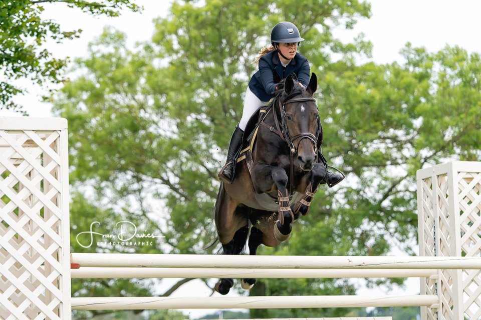 K2Photographic's tweet photo. Al Shira'aa Hickstead Derby Meeting #AlShiraaa #Hickstead @HicksteadEvents @suregrowuk #horsehour
@EquineHour #horselife #horselove #SonyAlpha #EquestrianBusiness https://t.co/yCl9PQy7Un