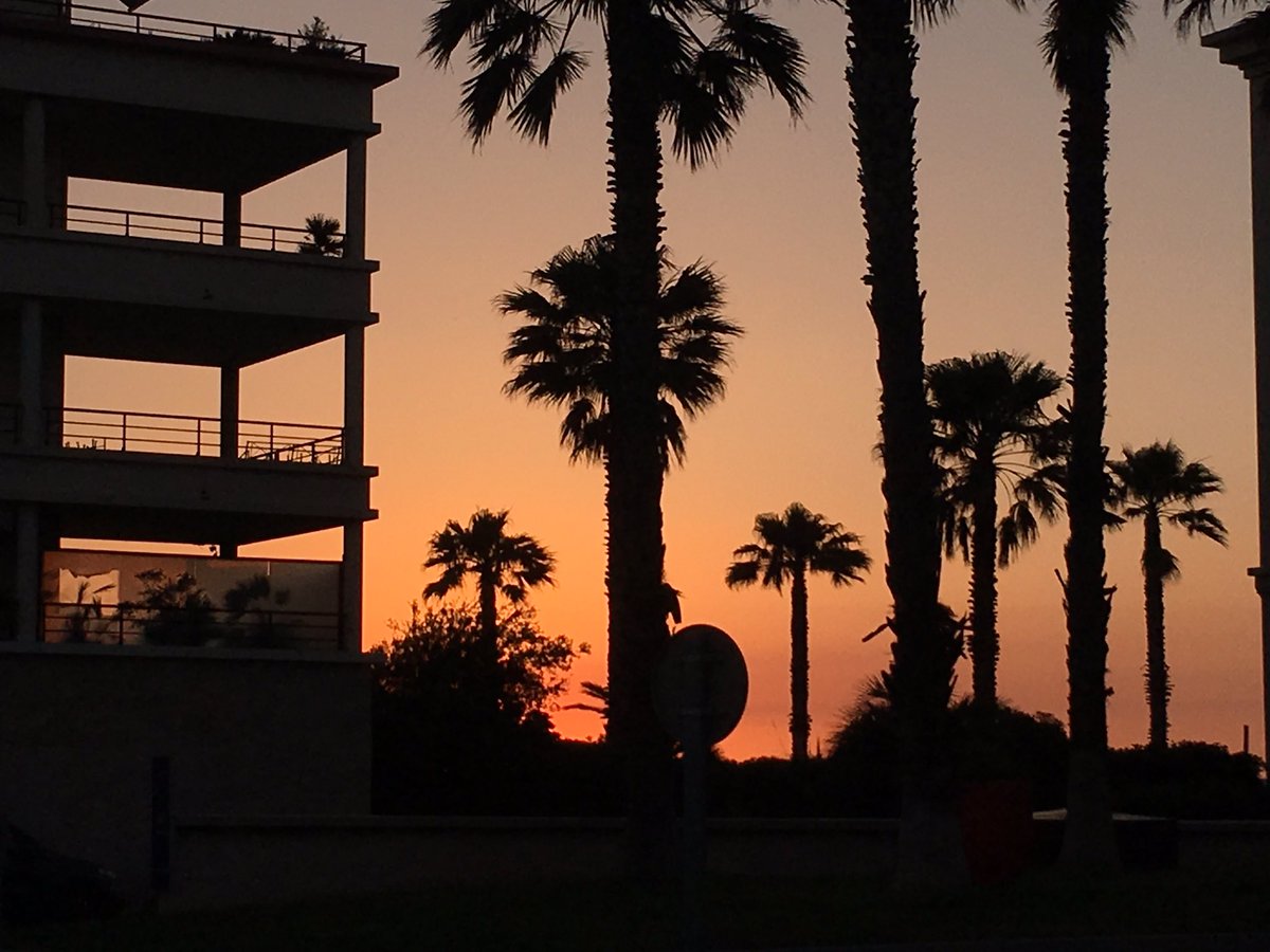 Lamia BOUGUILA-ABIBSSI (@babibssi) on Twitter photo 