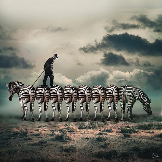 I've learned quite a lot, over the years, by avoiding what I was supposed to be learning.
Margaret Atwood
#writing #amwriting #screenwriting