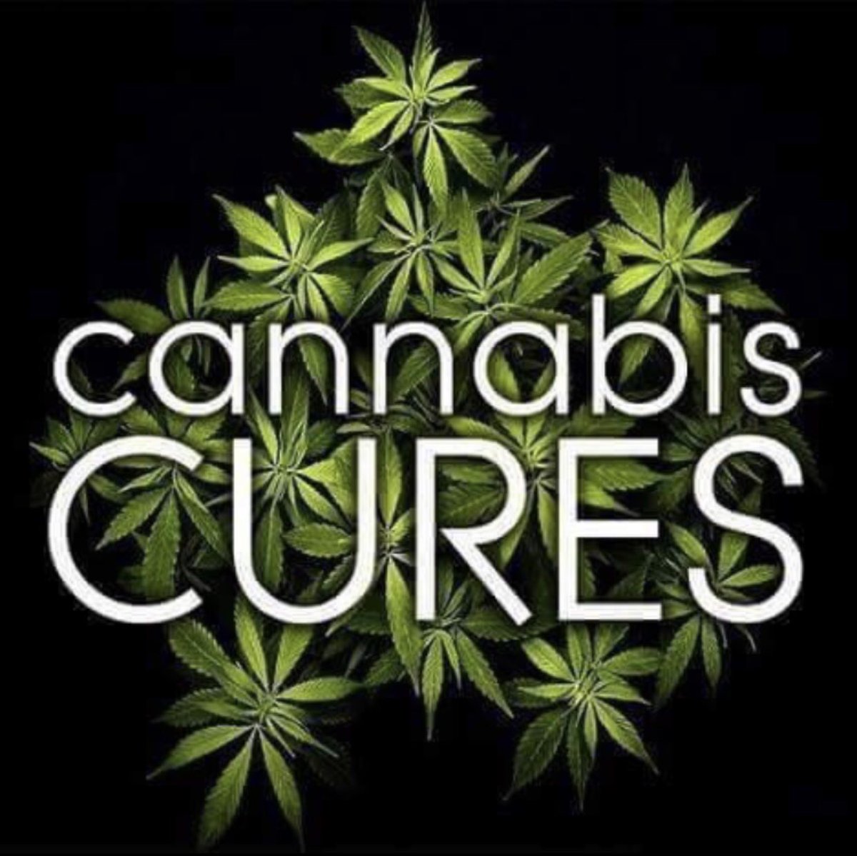 Jpcantwell10's tweet photo. #Cannabis #LegalizeKy #MedicalKy #Healthesick https://t.co/OhUH0KgyAB