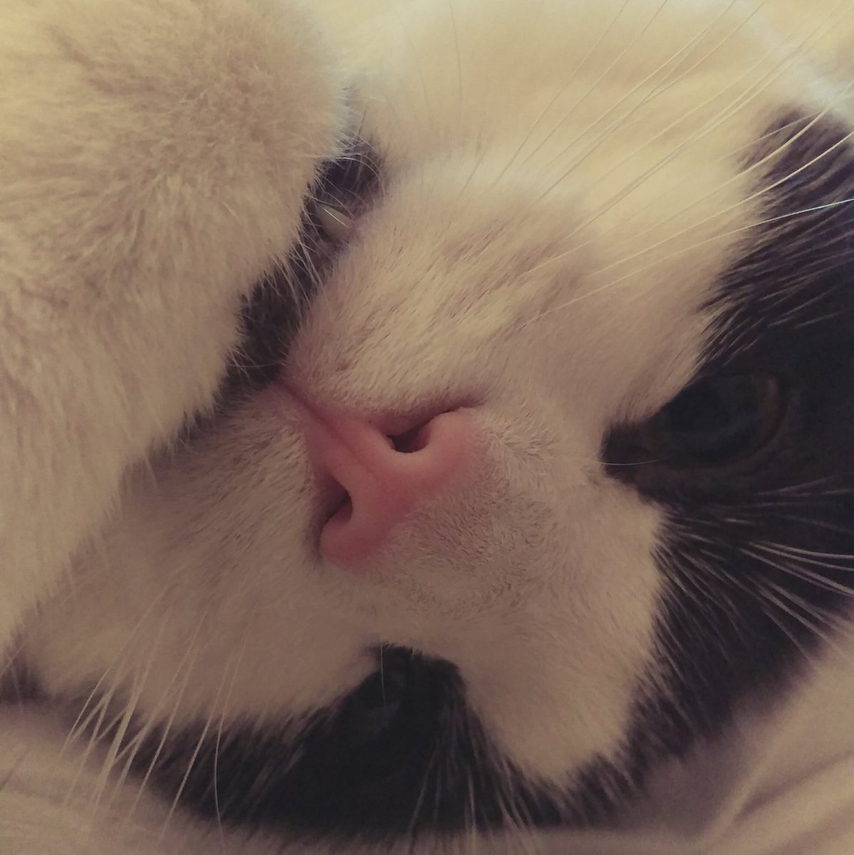 Amy Lawrence Designs tweet media